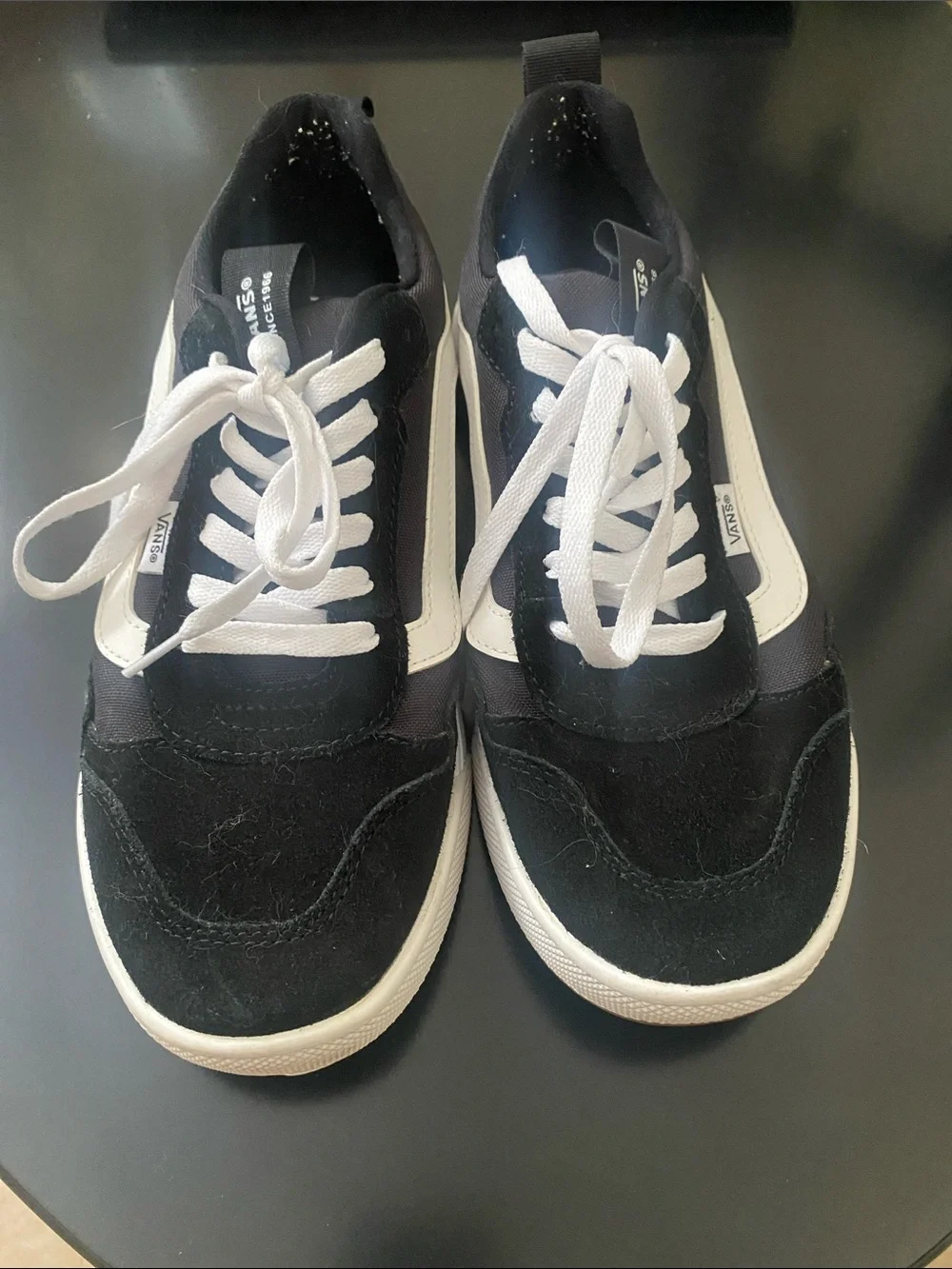 Vans Black and White Low-Top Skate Sneakers